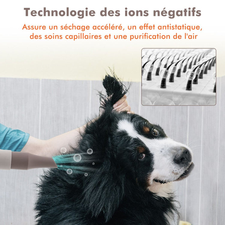 Sèche-Poils Professionnel Chiens & Chats – Rapide, Réglable, Silencieux, Ions Négatifs